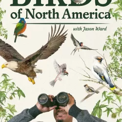 Birds of North America