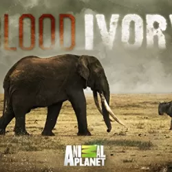 Blood Ivory