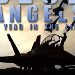 Blue Angels: A Year in the Life