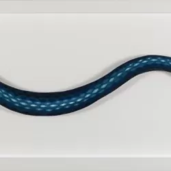 Blue Snake