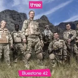 Bluestone 42