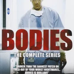 Bodies