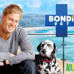 Bondi Vet