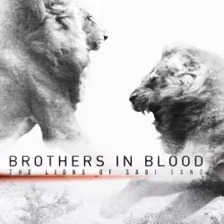Brothers In Blood: The Lions Of Sabi Sand