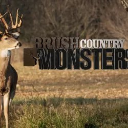 Brush Country Monsters