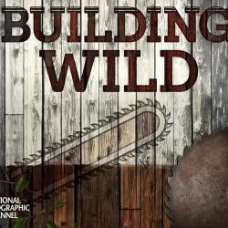 Building Wild