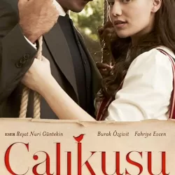 Çalıkuşu