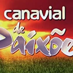 Canavial de Paixões