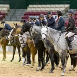 Capital Challenge Horse Show