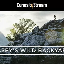 Casey's Wild Backyard