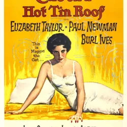 Cat on a Hot Tin Roof