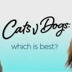 Cats v Dogs: Which is Best?
