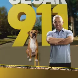 Cesar 911