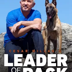 Cesar Millan's Leader of the Pack