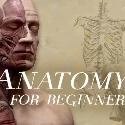 CH4 - Anatomy for Beginners