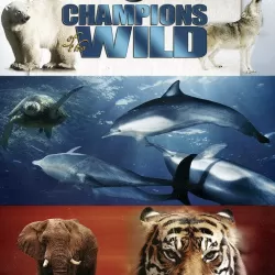 Champions of the Wild