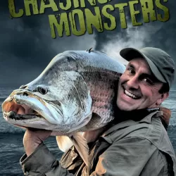 Chasing Monsters