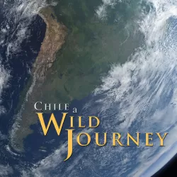 Chile: A Wild Journey
