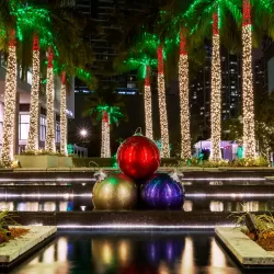Christmas in Miami