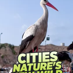 Cities: Nature's New Wild