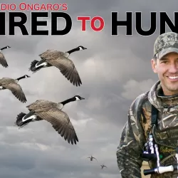 Claudio Ongaro's Hired to Hunt