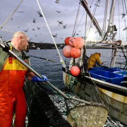 Cornwall: This Fishing Life