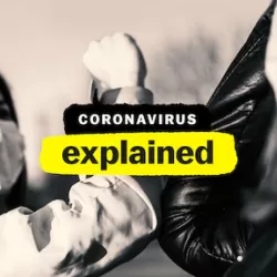 Coronavirus Explained