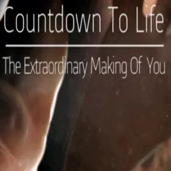 Countdown to Life: The Extraordinary Making of You