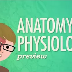 Crash Course: Anatomy & Physiology