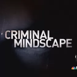 Criminal Mindscape