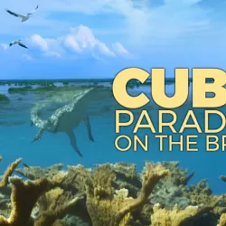 Cuba, A Paradise on the Brink