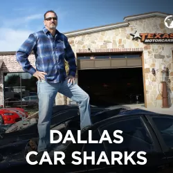 Dallas Car Sharks