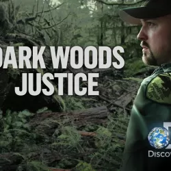 Dark Woods Justice