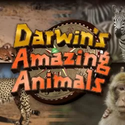 Darwin's Amazing Animals