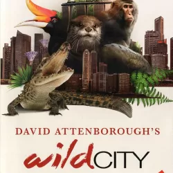 David Attenborough's Wild City