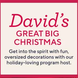 David's Great Big Christmas