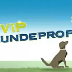 Der V.I.P. Hundeprofi