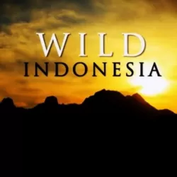 Destination Wild: Indonesia