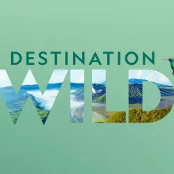 Destination Wild