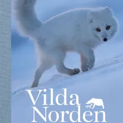 Det vilda Norden