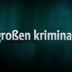 Die großen Kriminalfälle