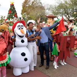 Disney Parks Frozen Christmas Celebration