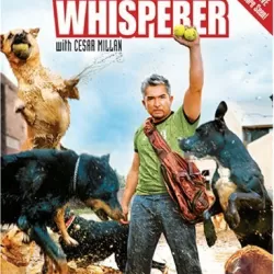 Dog Whisperer with Cesar Millan