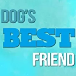 Dog's Best Friend