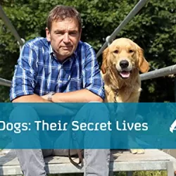 Dogs: Their Secret Lives