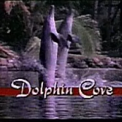 Dolphin Cove