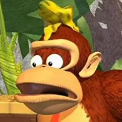 Donkey Kong Country