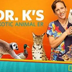 Dr. K's Exotic Animal ER