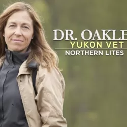 Dr. Oakley, Yukon Vet: Northern Lites