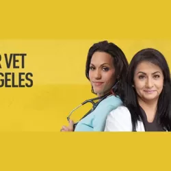 Dr. Vet: Los Angeles